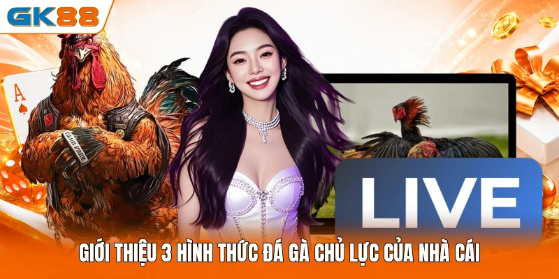 Giới thiệu 3 hình thức đá gà chủ lực của nhà cái